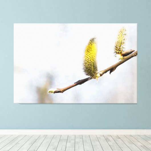 Willow Catkins - Silver World Canvas Afdruk (Insitu (Houten vloer))