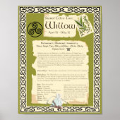 WILLOW CELTIC SACRED TREE POSTER (Voorkant)