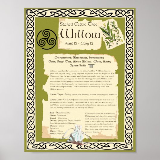 WILLOW CELTIC SACRED TREE POSTER (Voorkant)