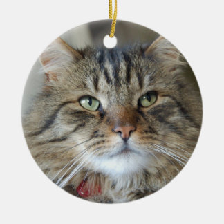 Willow de kat keramisch ornament