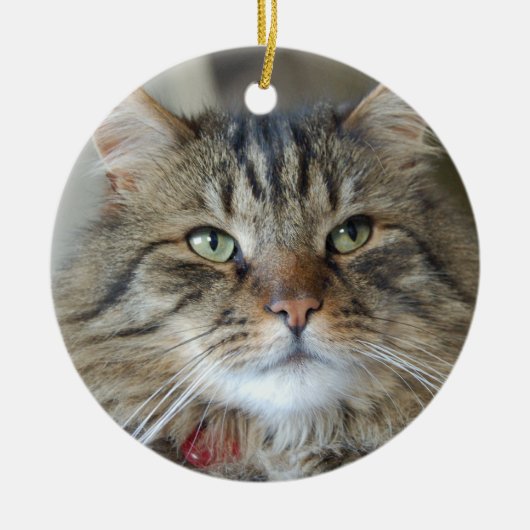 Willow de kat keramisch ornament (Voorkant)