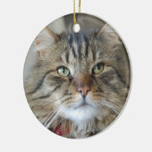 Willow de kat keramisch ornament (Links)