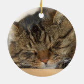 Willow de kat keramisch ornament (Achterkant)