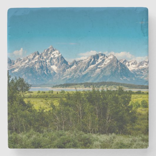 Willow Flats Stenen Onderzetter (Voorkant)