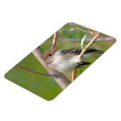 Willow Flycatcher Magneet (Linkerzijde)