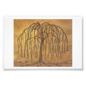 Willow Foto Afdruk (Voorkant)