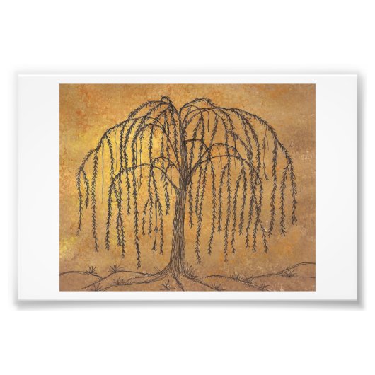 Willow Foto Afdruk (Voorkant)