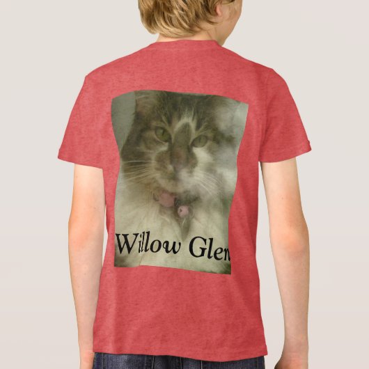 Willow Glen patchwork and cat Tri-Blend Shirt (Achterkant)