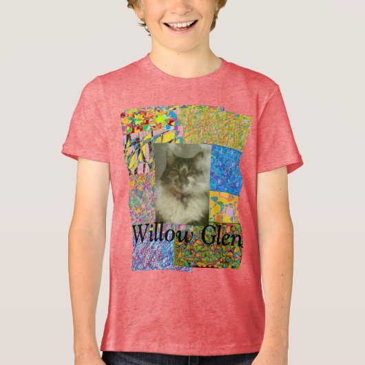 Willow Glen patchwork and cat Tri-Blend Shirt (Voorkant)