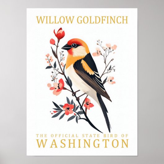 Willow Goldfinch Vogel van Washington Travel Poster (Voorkant)