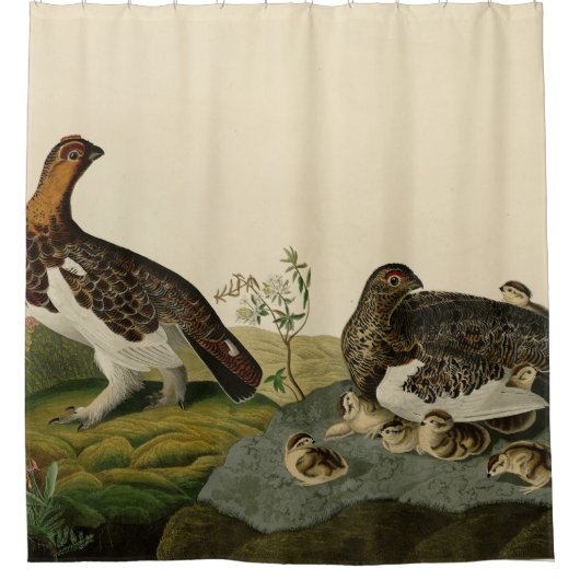Willow Grous (Grouse) - Amerikaanse vogels Douchegordijn (Voorkant)