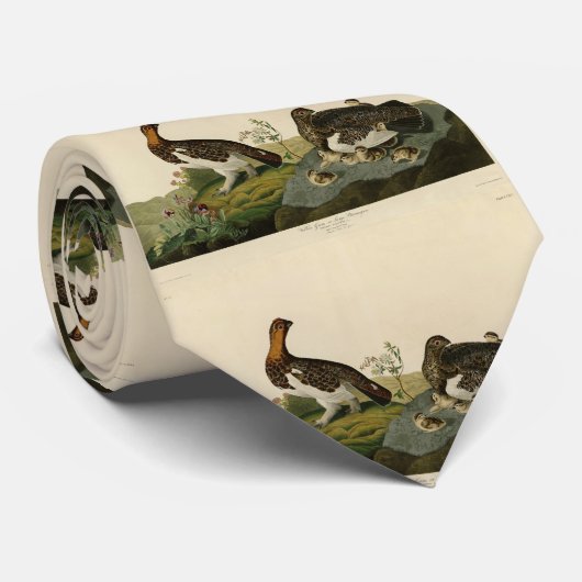 Willow Grous (Grouse) - Amerikaanse vogels Stropdas (Opgerold)