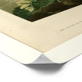 Willow Grouse of Large Ptarmigan Poster (Hoek)