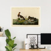 Willow Grouse of Large Ptarmigan Poster (Thuiskantoor)