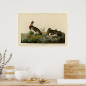 Willow Grouse of Large Ptarmigan Poster (Keuken)