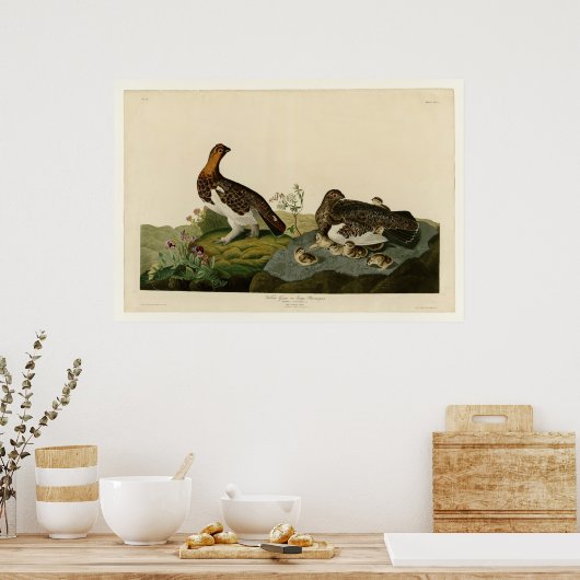 Willow Grouse of Large Ptarmigan Poster (Keuken)