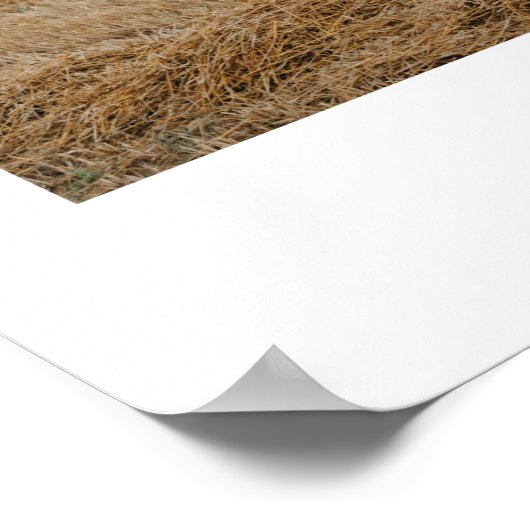 WILLOW Moderne Minimalistische Foto Bruiloft Welko Poster (Hoek)