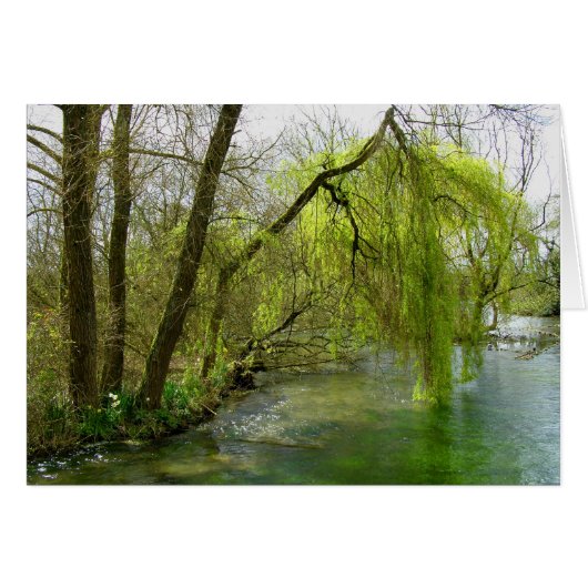 Willow op de riviertestkaart (Voorkant Horizontaal)
