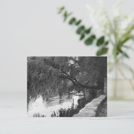 Willow overhandigt de rivier briefkaart (Staand voorkant)