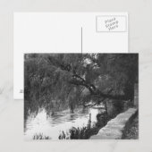 Willow overhandigt de rivier briefkaart (Voorkant / Achterkant)