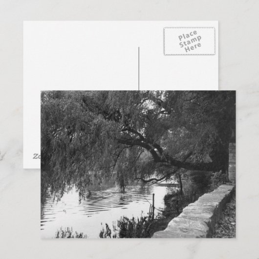 Willow overhandigt de rivier briefkaart (Voorkant / Achterkant)