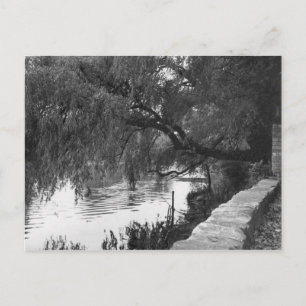 Willow overhandigt de rivier briefkaart