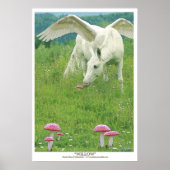 "WILLOW" Pegasus Fantasy Art Poster (Voorkant)