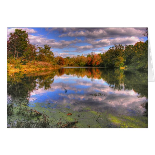 Willow Pond (Voorkant Horizontaal)