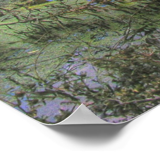 Willow Pond - Cherokee Park Poster (Hoek)