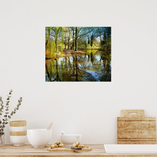 Willow Pond Water Reflection Poster (Keuken)