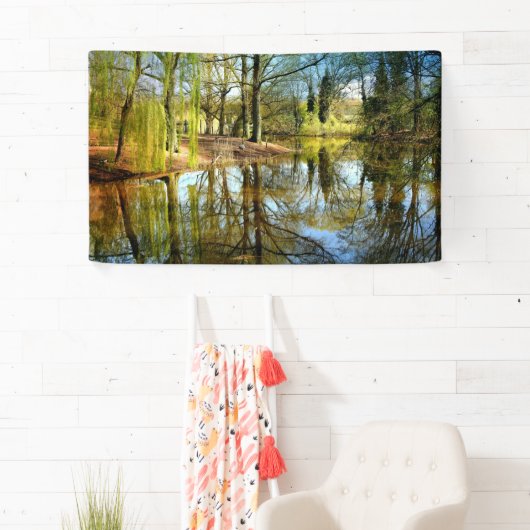Willow Pond Water Reflection Spandoek (Insitu)