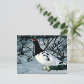 Willow Ptarmigan Briefkaart (Staand voorkant)