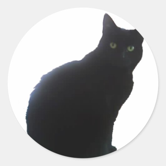 Willow Ronde Sticker (Voorkant)