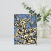 WILLOW TREE BRIEFKAART (Staand voorkant)