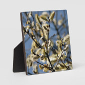 WILLOW TREE FOTOPLAAT (Voorkant)