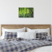 Willow Tree Green-Natuur Canvas Afdruk (Insitu (Slaapkamer))