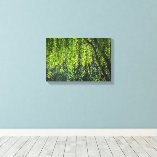 Willow Tree Green-Natuur Canvas Afdruk (Insitu (Houten vloer))