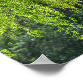 Willow Tree Green-Natuur Poster (Hoek)