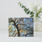 Willow Tree Postcard Briefkaart (Staand voorkant)