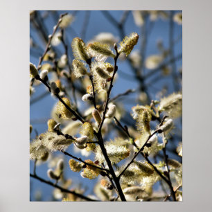 WILLOW TREE POSTER