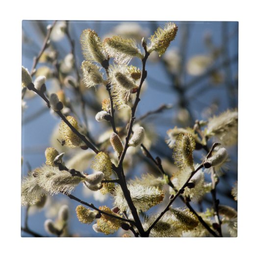 WILLOW TREE TEGELTJE (Voorkant)