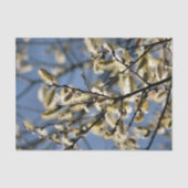 WILLOW TREE TISSUEPAPIER (Voorkant)