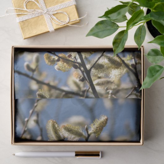 WILLOW TREE TISSUEPAPIER (Geschenk)