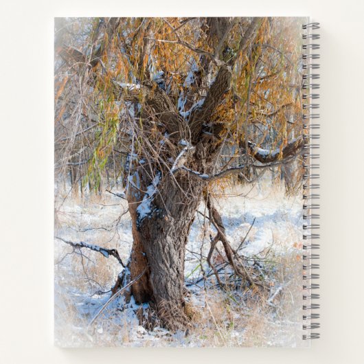 Willow Walking Notitieboek (Achterkant)