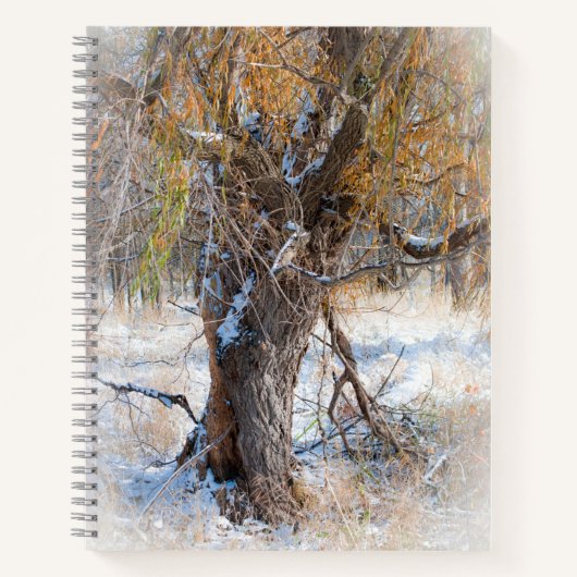 Willow Walking Notitieboek (Voorkant)