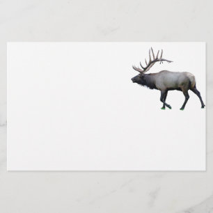 Willow Wapiti elk Briefpapier
