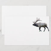 Willow Wapiti elk Briefpapier (Voorkant / Achterkant)