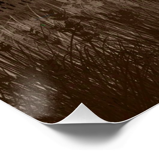 Willow Wisp Ghost Perfect Poster (Hoek)