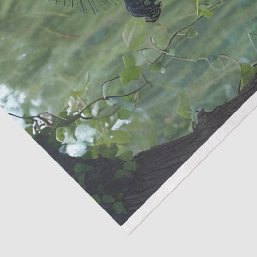 Willow Witch Links tegenover Weefselpapier Tissuepapier (Detail)