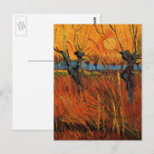 Willows at Sunset by Vincent van Gogh Briefkaart (Voorkant / Achterkant)
